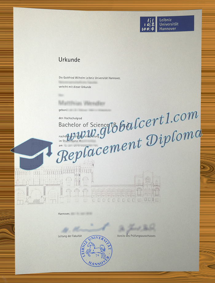 Leibniz Universität Hannover degree