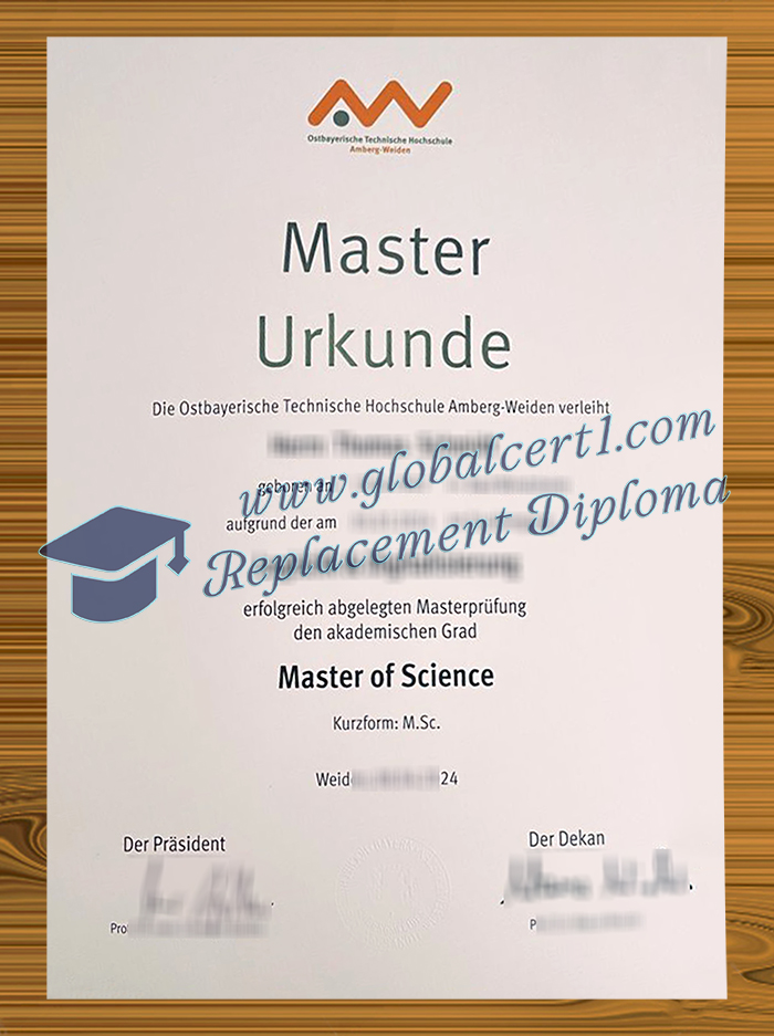 [Image: OTH-Amberg-Weiden-degree.jpg]