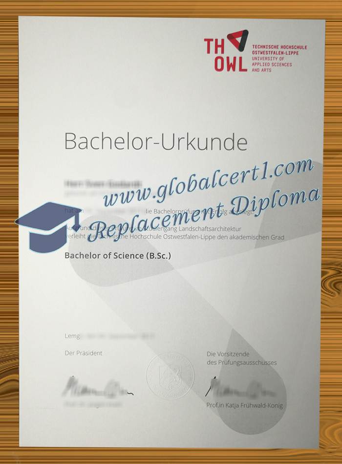[Image: TH-OWL-degree.jpg]