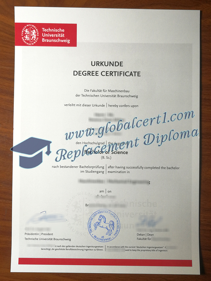 TU Braunschweig degree