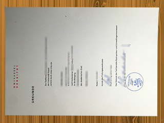Universität Kassel diploma