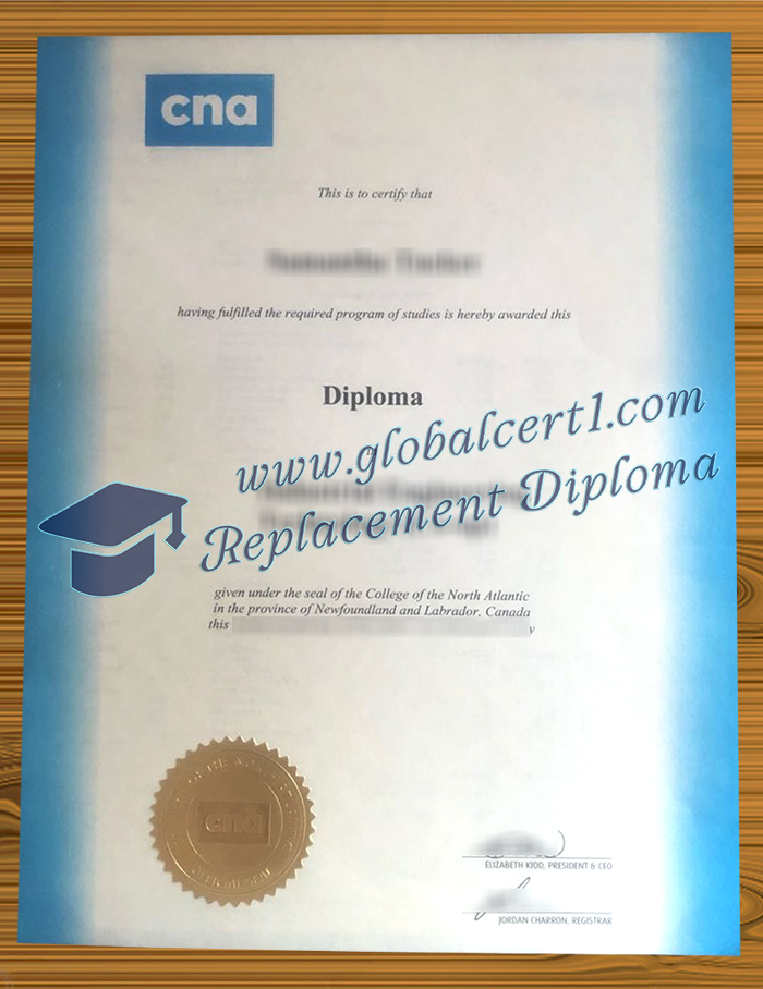 [Image: College-of-the-North-Atlantic-diploma.jpg]