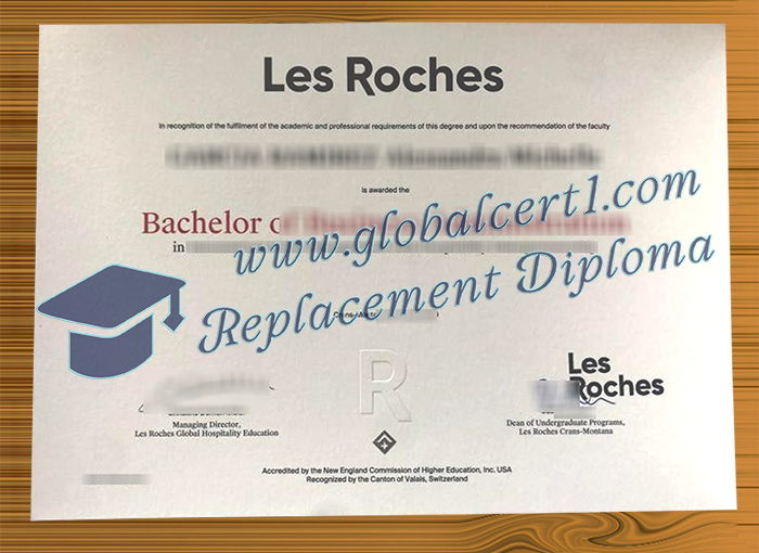 Les Roches degree