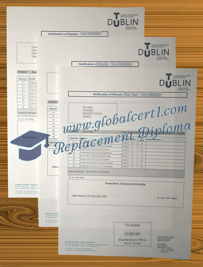 Technological University Dublin transcript