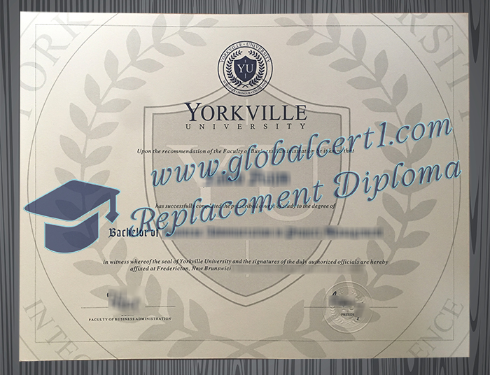 [Image: Yorkville-University-degree.jpg]