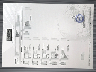 Limkokwing University transcript
