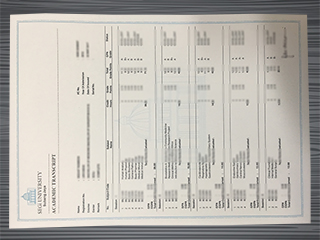 SEGi University transcript