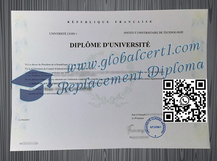 IUT Lyon 1 degree
