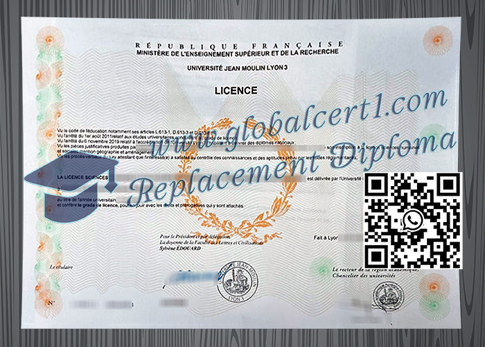 Université Jean Moulin Lyon 3 degree