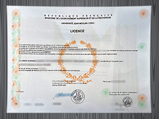 Université Jean Moulin Lyon 3 diploma