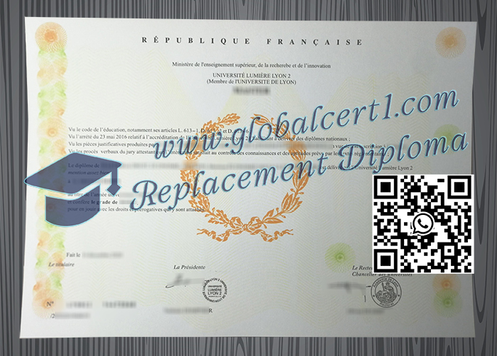 Université Lumière Lyon 2 degree