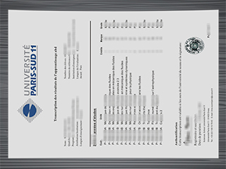 Université Paris-Sud transcript