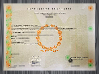 Université Côte d'Azur diploma