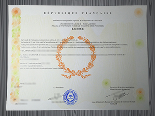 Université Toulouse III - Paul-Sabatier diploma