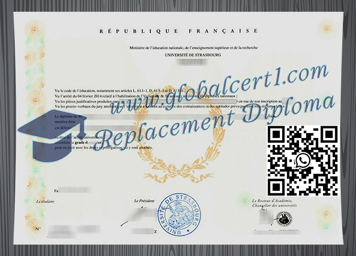 Université de Strasbourg degree